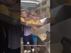 12 Stacji Krojenia Maszyna do Krojenia Frytek Wirówkowych z doskonałymi rezultatami